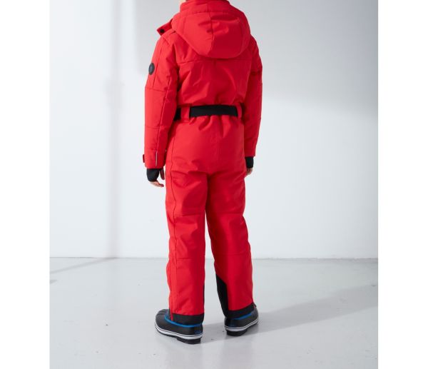 thumb_92976_1667_1920_0_0