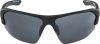 Купить Очки Alpina Lyron Hr Black Matt/Black Mirror Cat.3 в Симферополе