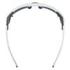 Купить Очки Alpina Skywalsh Q Smoke-Grey Matt/Green Mirror Cat.4 Fogstop в Симферополе