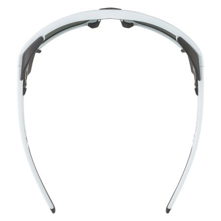 Купить Очки Alpina Skywalsh Q Smoke-Grey Matt/Green Mirror Cat.4 Fogstop в Симферополе
