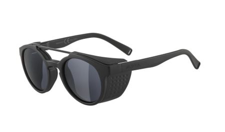 Купить Очки Alpina Glace All Black Matt/Side Part Black Matt/Black Cat.3 в Симферополе