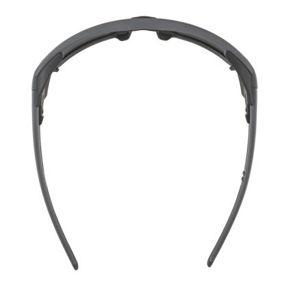 Купить Очки Alpina Skywalsh Q Midnight-Grey Matt/Blue Mirror Cat.4 Fogstop в Симферополе