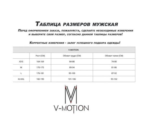 Термобельё V-MOTION Base мужской серебристый в Симферополе