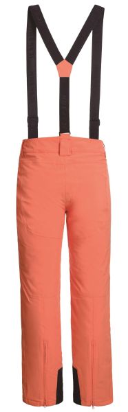 Брюки горнолыжные Icepeak 657038839IV 455 в Симферополе