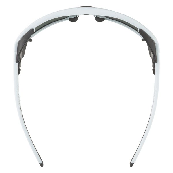 Купить очки alpina skywalsh q smoke-grey matt/green mirror cat.4 fogstop в Симферополе