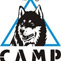 Купить в кошки camp Кошки CAMP в Симферополе