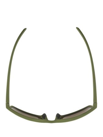Купить Очки Alpina Nacan I Olive Matt/Bronce Mirror Cat.3 в Симферополе